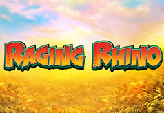 Raging Rhino Raging Rhino