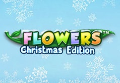 Flowers Christmas Edition™ Flowers Christmas Edition™