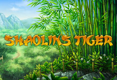 Shaolin’s Tiger Shaolin’s Tiger