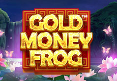 Gold Money Frog Gold Money Frog
