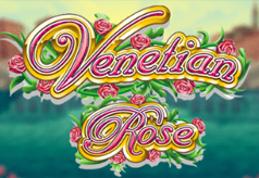 Venetian Rose Venetian Rose
