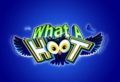 What A Hoot What A Hoot