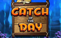 Catch of the Day Catch of the Day