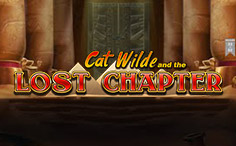 Cat Wilde and the Lost Chapter Cat Wilde and the Lost Chapter