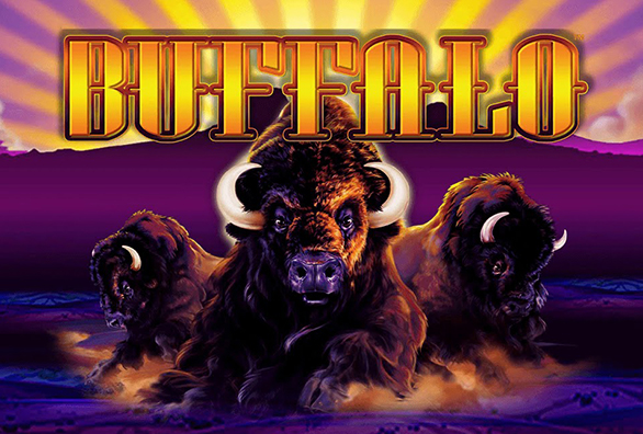 Buffalo slot by Aristocrat, Full Review