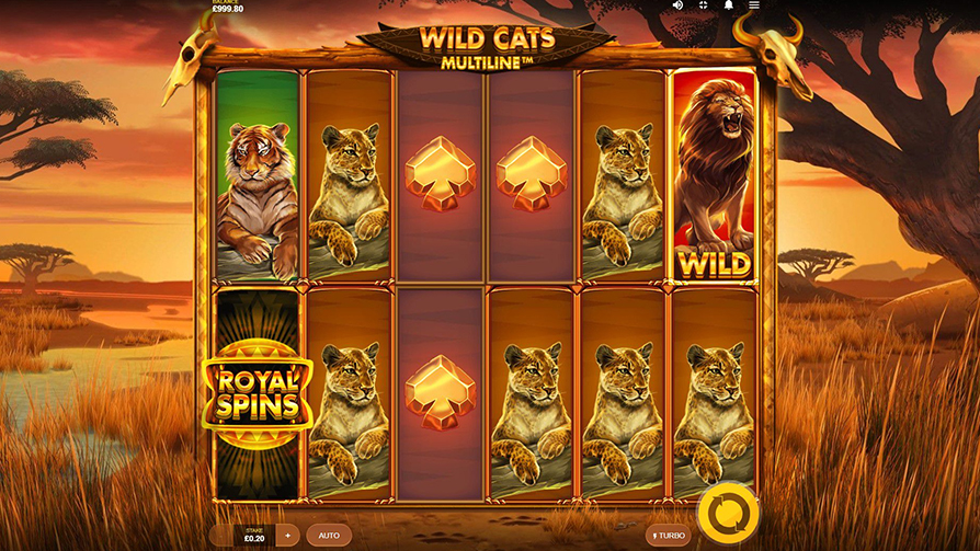 Wild-Cats