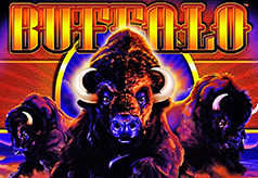 Buffalo Slot Buffalo Slot