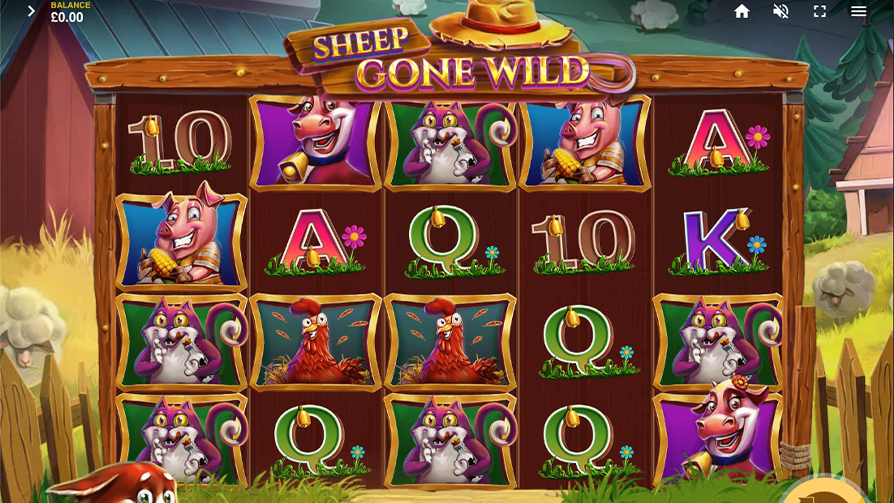 Sheep-Gone-Wild-Slot-Review-894x503