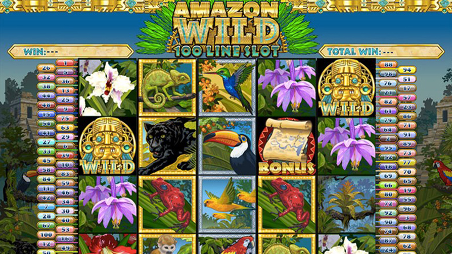 Amazon-Wild-Slot-Review-894x503