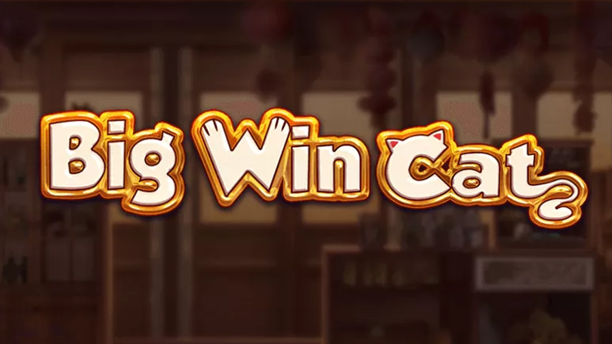 Big-Win-Cat-Slot-Review
